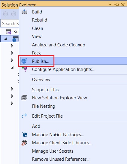 Solution Explorer-17